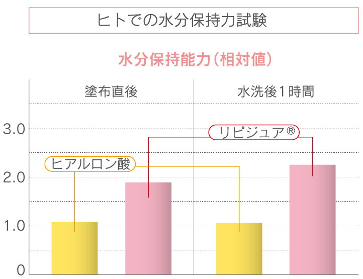 人での保水力試験