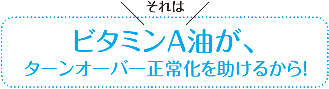 ビタミンＡ油が、ターンオーバー正常化を助けるから！