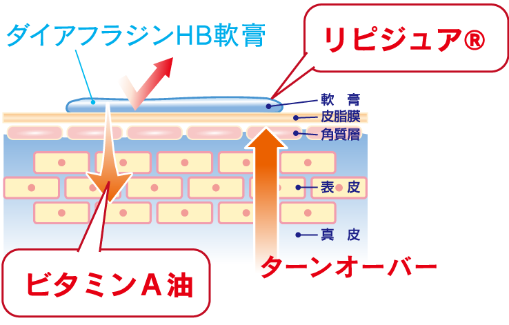 ダイアフラジンＨＢを塗って、正常に戻った皮膚