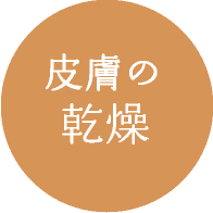 ダイアフラジンex軟膏の効能効果・副作用・ 