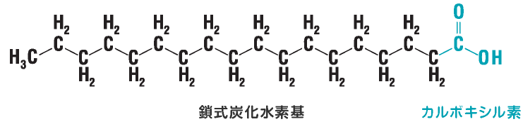 飽和脂肪酸