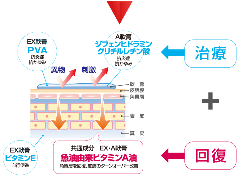 ダイアフラジンシリーズの特徴：回復力の秘密は魚油（肝油）由来のビタミンA油