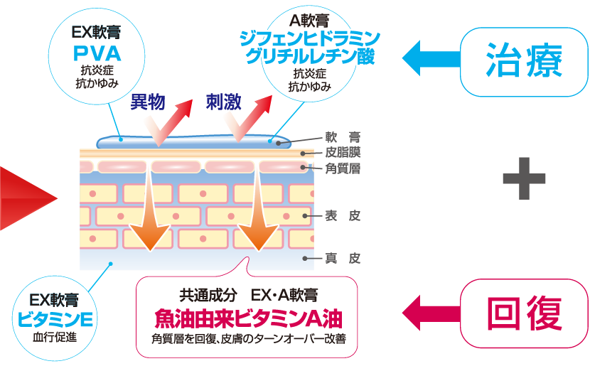 ダイアフラジンシリーズの特徴：回復力の秘密は魚油（肝油）由来のビタミンA油